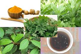 xông hậu môn bằng lá sung